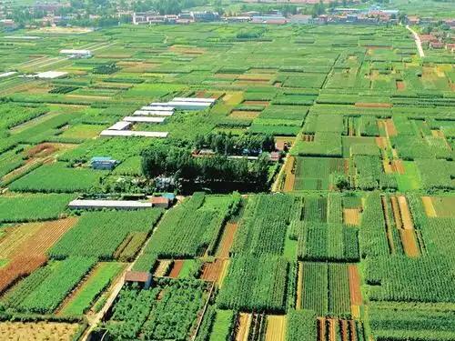 广东违建拆除律师-农村自建房占用耕地有哪些处罚