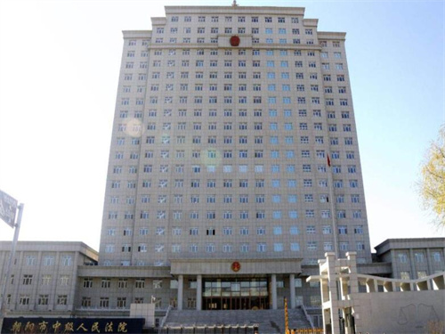 2023年3月9日冠领拆迁纠纷律师到辽宁省朝阳市开庭