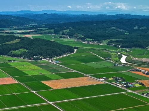 山东济南发布征地补偿安置方案，每公顷最高补偿112.5万元，快来看看吧