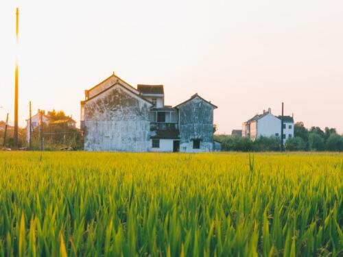 冠领律师代理四川宜宾钢棚房屋行政强制执行案胜诉-1