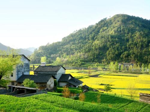 湖南拆迁补偿律师-借给堂弟盖房的老家宅基地遇拆迁补偿款归谁
