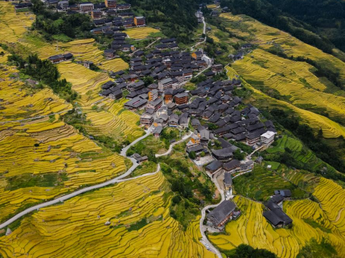离婚后前夫家拆迁，前妻能否分得征地补偿款