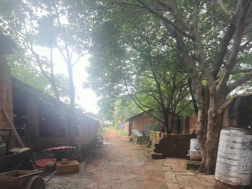 禁养区养猪场被拆索赔难，拆迁补偿诉求如何通过诉讼推进