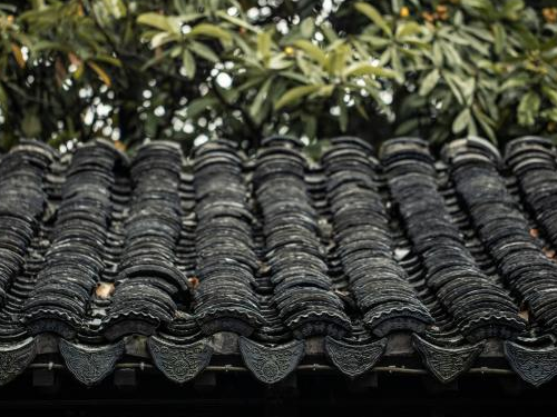 咖啡店被征收但装修投入不计入拆迁补偿范围该怎么办