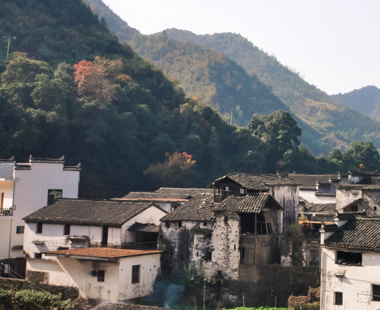 上海冠领律师事务所：集体土地征收补偿分配对象与分配原则是什么