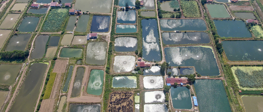 鱼池被放水损失惨重，重庆某养殖场委托冠领起诉维权成功-图2