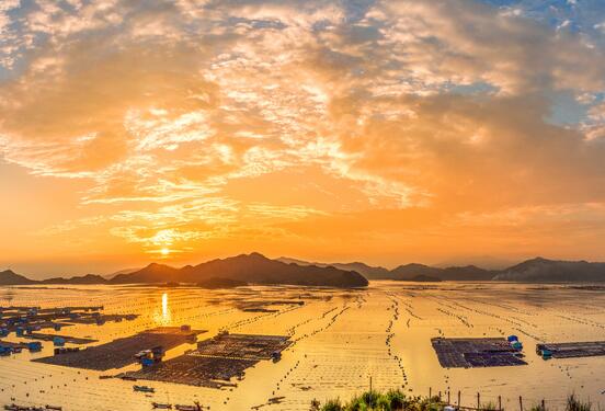 【胜诉简讯】冠领代理山东省行政赔偿纠纷案胜诉-图1