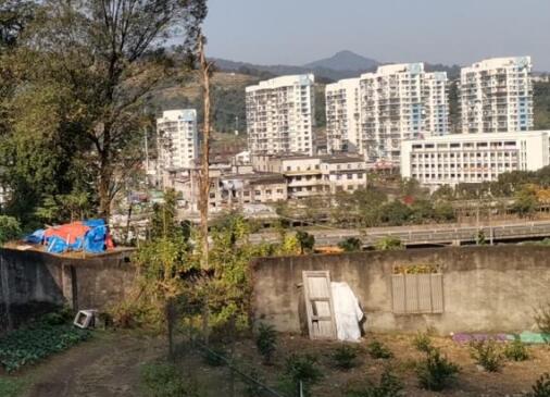 小型家具加工厂因违建被强制拆除了有补偿吗
