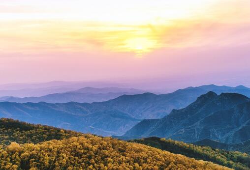 冠领代理四川绵阳园林景观苗木用地征收补偿案二审胜诉-图1