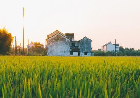 有农村户口没宅基地征收拆迁时能分到补偿吗