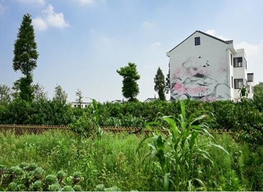 北京冠领律所农村拆迁律师答复农村无证房必须要拆除吗